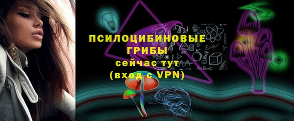 сатива Алексеевка