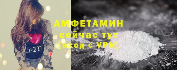 сатива Алексеевка