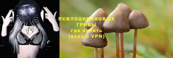 бошки Алексин