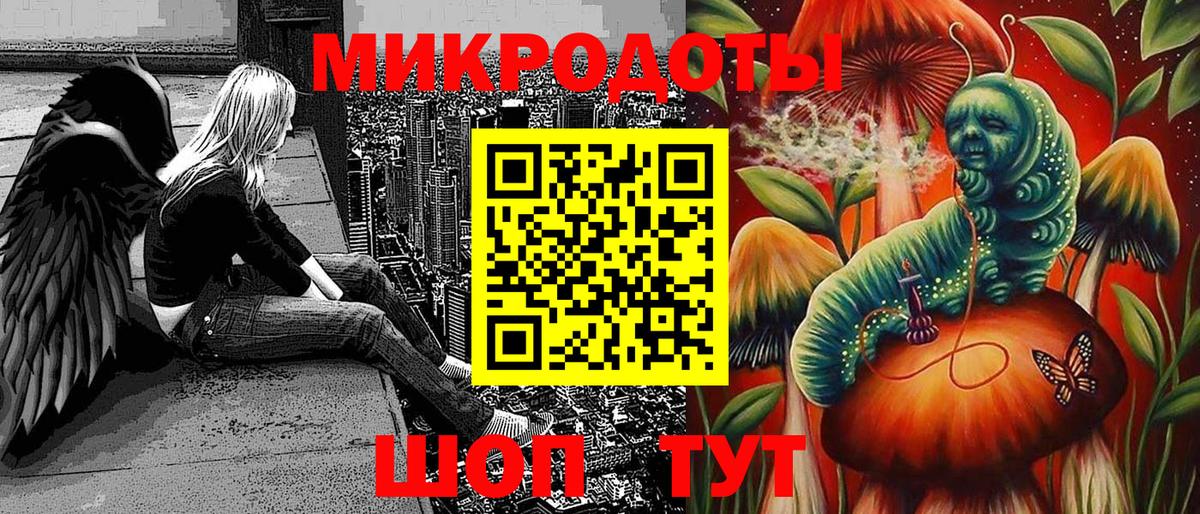 Псилоцибиновые грибы Psilocybe Кумертау